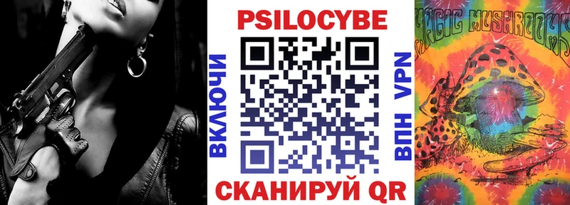 Псилоцибиновые грибы Psilocybe Мензелинск